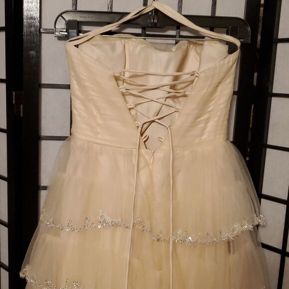 Elegant Strapless Cream A LINE Gown with RUFFLE Sequin Details - Picture 6 of 8
